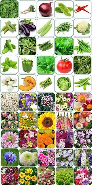 Nursery plants, seeds and garden products