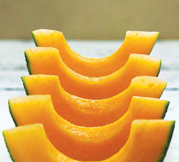 BIT O' GOLD Melon Seeds